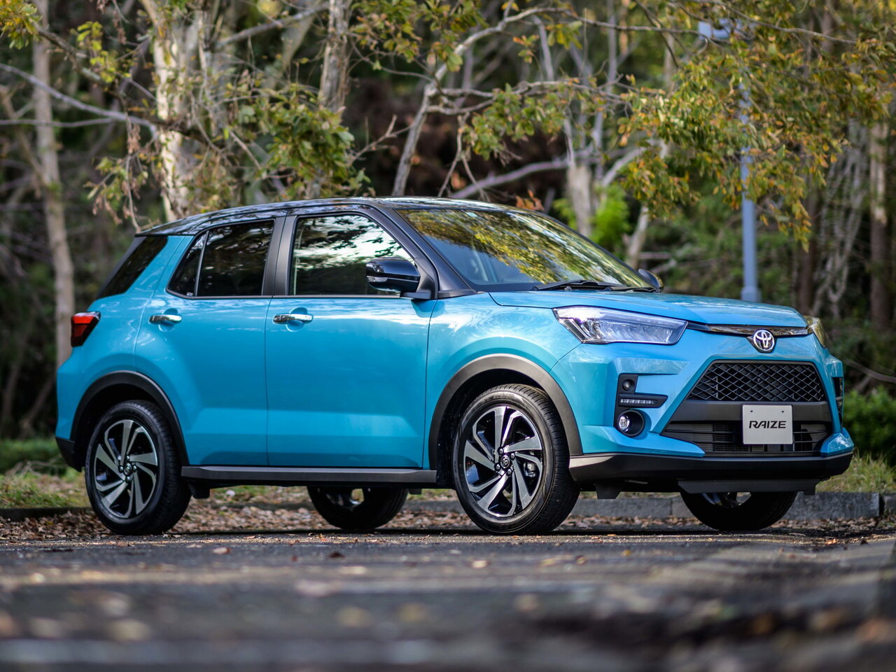 I (2019–н.в.)