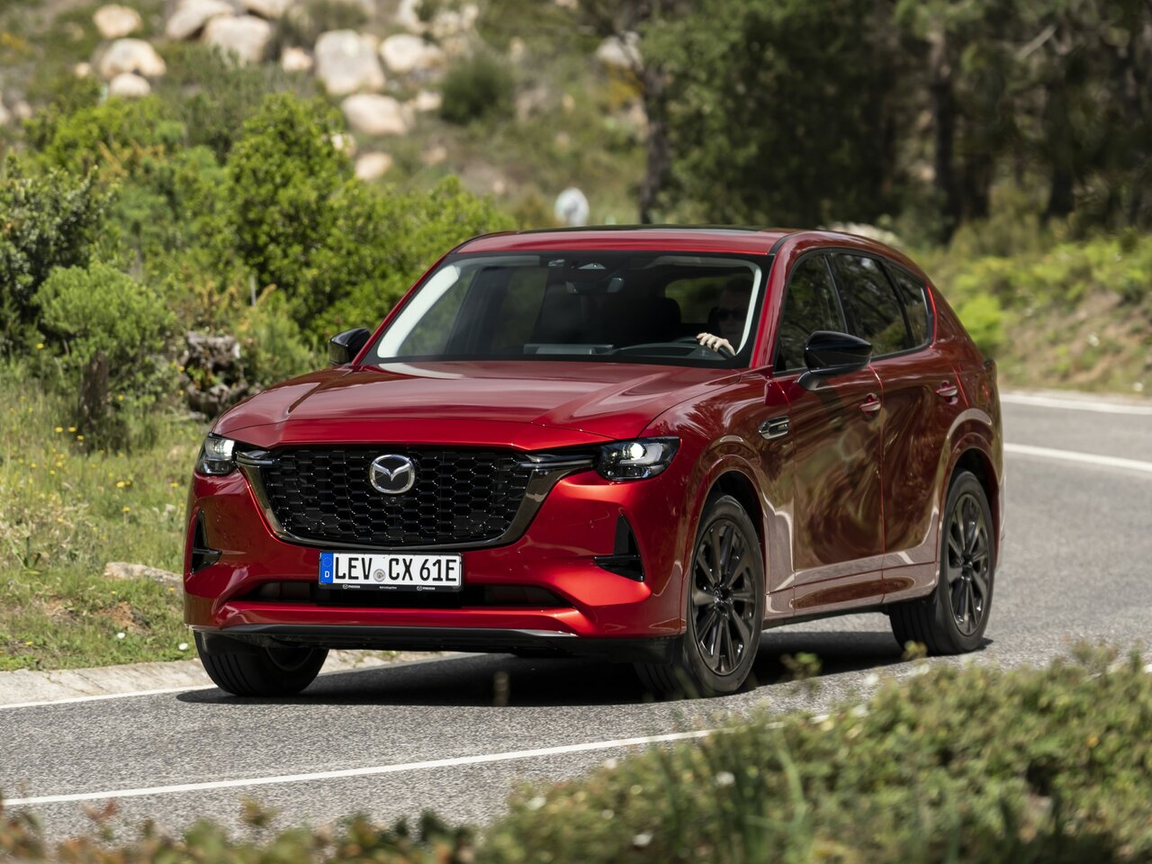 2022–н.в.